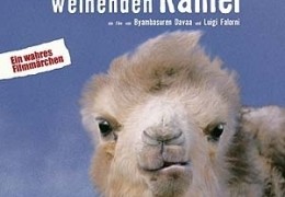 Die Geschichte vom weinenden Kamel  PROKINO Filmverleih GmbH