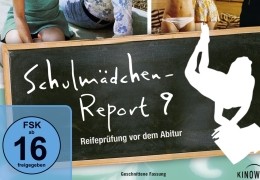 Schulmdchen-Report 9: Reifeprfung vor dem Abitur
