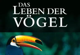 Das Leben der Vögel