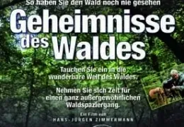 Geheimnisse des Waldes - Plakat