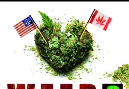 Weed Bandits 3