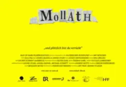Mollath - und plötzlich bist du verrückt