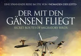 Der mit den Gänsen fliegt
