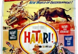 Hatari