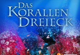 Das Korallendreieck