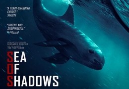 Sea of Shadows - Das Kokain der Meere