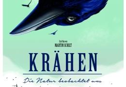 Krhen - Die Natur beobachtet uns