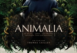 Animalia