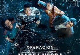 Operation Marea Negra