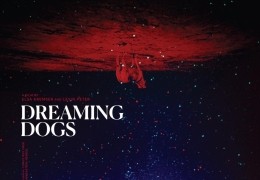 Dreaming Dogs