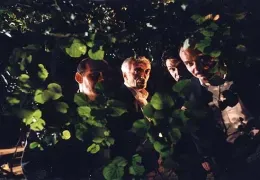 Die Herzen der Männer  Arsenal Filmverleih