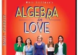 Algebra in Love - DVD-Cover