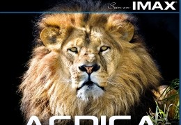 Afrika - Die Serengeti