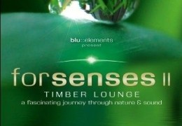 Forsenses II - Timber Lounge