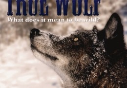 True Wolf