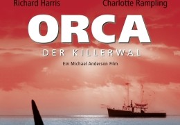 Orca, der Killerwal