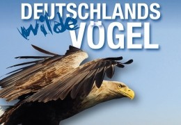 Deutschlands wilde Vgel - Plakat