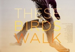 These Birds Walk