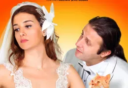 Kedi Özledi