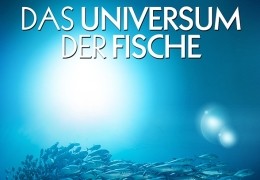 Das Universum der Fische