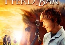 Mein treues Pferd 'Br'