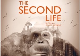 The Second Life - Das zweite Leben