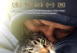 Cat Daddies - Freunde fr sieben Leben