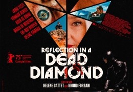 Reflection in a dead diamond