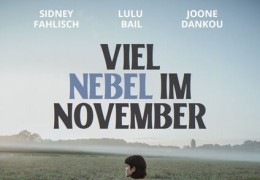 Viel Nebel im November