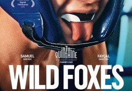 Wild Foxes