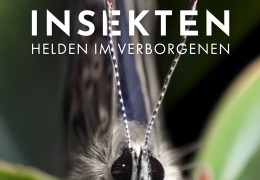 Insekten - Helden im Verborgenen