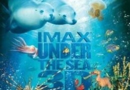 Under the Sea 3D - Paradiese im Meer