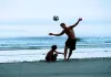 Oliver Korittke, Arman Inci - Eine Hand voll Gras