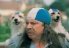 Das Sams