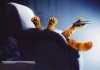 Garfield <br />©  20th Century Fox