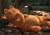 Garfield   Twentieth Century Fox, 2004