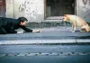 Herr Lehmann - Christian Ulmen <br />©  Delphi Film
