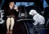 Oma Gerda (Irm Hermann) mit Hund Tobi  SOLO FILM