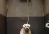 Hund Tobi  SOLO FILM