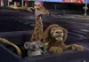Bitte gut festkrallen: Löwe Samson, Giraffe Bridget...ERVED.