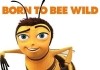 Bee Movie - Das Honigkomplott <br />©  Paramount Pictures International Germany