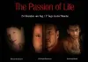 24/7 - The Passion of Life <br />©  WTP International GmbH