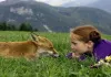 Der Fuchs und das Mädchen