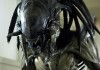 CHET, der Predalien (Hybrid aus Alien und Predator) -...tor 2
