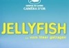 Jellyfish – vom Meer getragen