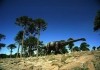 Dinosaurier 3D - Giganten Patagoniens