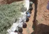 Die Todesreiter von Darfur