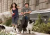 Das Hundehotel