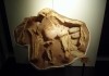 Das Fossil eines Oviraptors im American Museum of...Clark