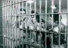 Down by Law